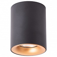 Накладной светильник arte lamp torr...